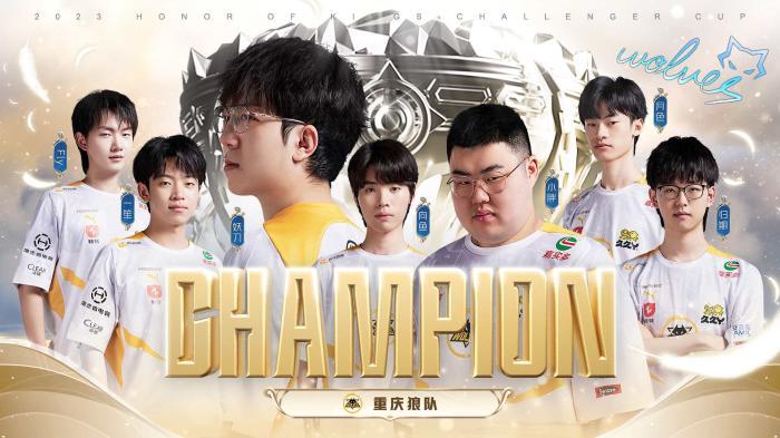 核心球员的