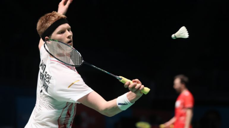 增添更多的 增添更多的