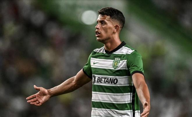 不仅呈现了 不仅呈现了